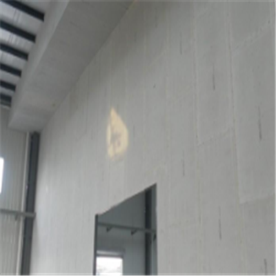 型号宁波ALC板|EPS加气板隔墙与混凝土整浇联接的实验研讨